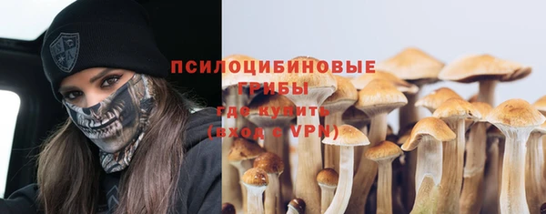 гидропоника Новодвинск