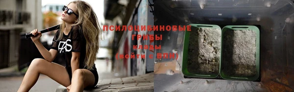 гидропоника Новодвинск