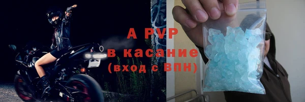 СК Новокубанск