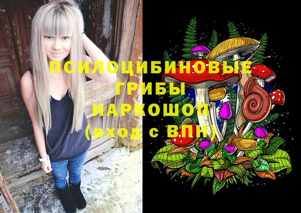 СК Новокубанск