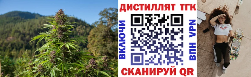 Дистиллят ТГК концентрат Купить Дигора