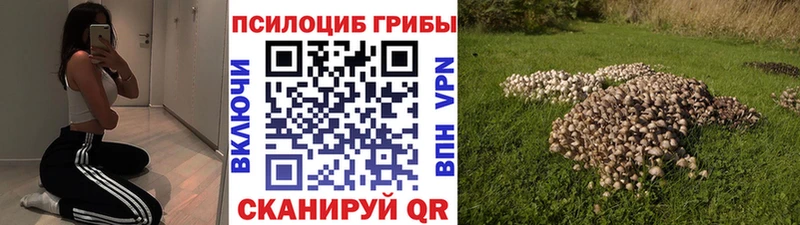 Псилоцибиновые грибы Magic Shrooms  Купить  Дигора 